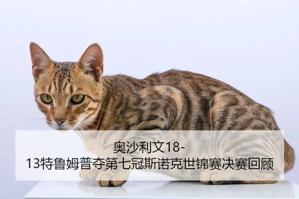 奥沙利文18-13特鲁姆普夺第七冠斯诺克世锦赛决赛回顾