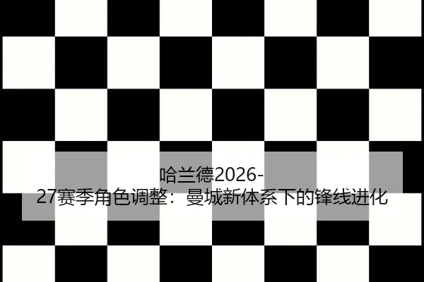 ha-lan-de-sai-ji-jue-se-tiao-zheng-man-cheng-xin-ti-xi-xia-de-feng-xian-jin-hua-2-656.jpg